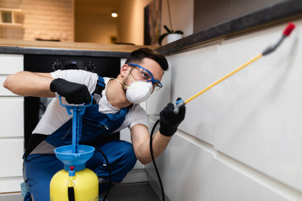 Trusted New Albany, OH Pest Control Experts