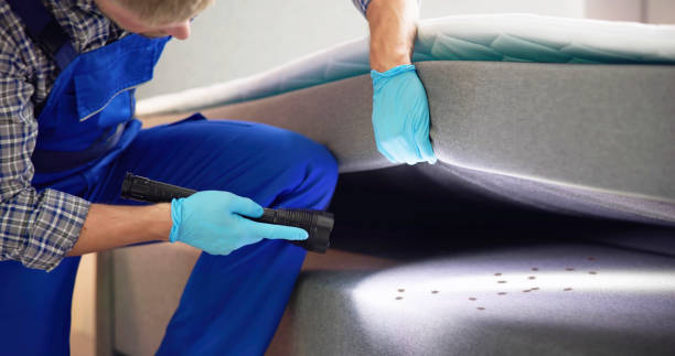 Best Pest Control Treatment  in New Albany, OH