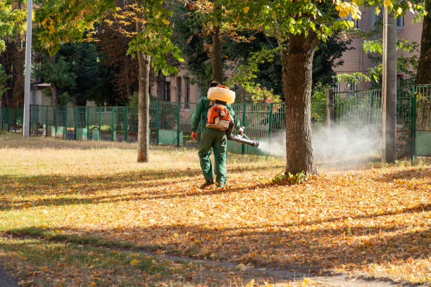  New Albany, OH Pest Control Pros
