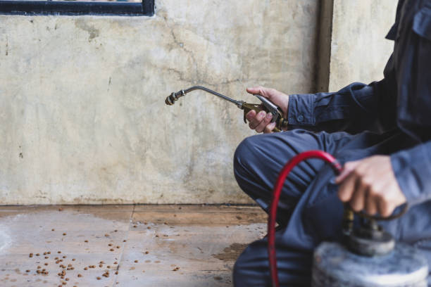 Best Pest Control for Restaurants  in New Albany, OH