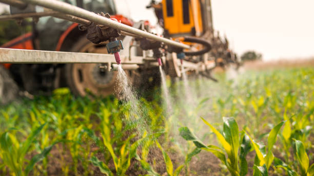 Best Mosquito Control Services  in New Albany, OH