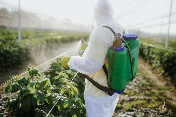 Wasp Removal Services in New Albany, OH